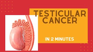 Testicular cancer in under 2 mins [upl. by Patsis818]