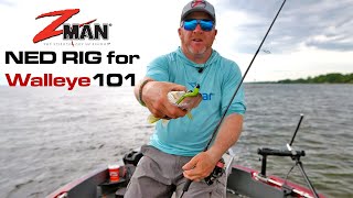 Ned Rig 101  How to Fish Zman TRD Ned Rig for WALLEYE [upl. by Enyrehtac547]