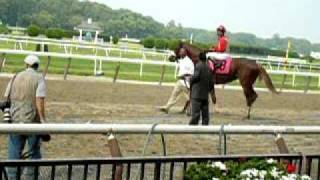 Corinthian 2007 Metropolitan Handicap Met Mile Belmont Park [upl. by Katherin561]