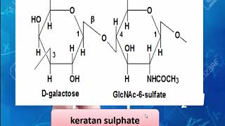 Mucopolysaccharides  Glycosaminoglycanes Structure et fonction des macromolécules [upl. by Aleahcim220]