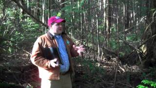 Small forest management [upl. by Wagoner]