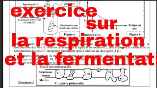 exercice sur la respiration et la fermentation [upl. by Ulla]