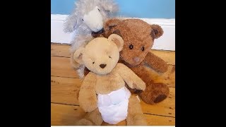 WasteAware Reusable Nappy Video Birth to Potty explained [upl. by Sellers]