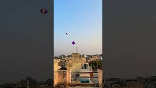 Kite looting from rooftop🪁Big kite catchingCutting kite caught on roof Flying big kite shorts [upl. by Ahsauqal534]