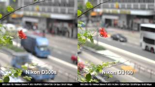 Review Nikon D3100 vs D300s [upl. by Ardnoet]