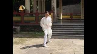 袁康就博士《養生修談》之武當太乙五行拳 2004 Taiyi Five Elements Fist by Dr Yuen [upl. by Seldun]