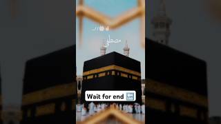 Tu kuja man kuja new naat status islmicvideo trendingshorts shorts youtubeshorts viralshorts [upl. by Latsirhc]