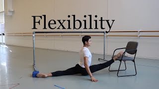 Ballet Stretching Tutorial [upl. by Einnaoj428]