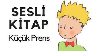 Küçük Prens Sesli Kitap Dinle Oku Tek Parça Masal Abbas Tekin [upl. by Aihsinyt]