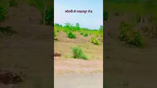 Lormi To Takhatpur nature music song bastartour musicgenre bastartourism musicstyle bastar [upl. by Rumery]