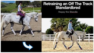 Retraining an Off The Track Standardbred  Happy the Standie [upl. by Ahsircal977]