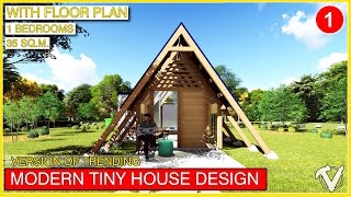 Unique AShaped Tiny House Design  230k Budget [upl. by Napier]