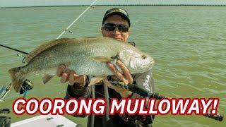 Coorong Mulloway session [upl. by Ackley]