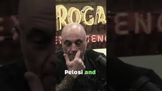 Joe Rogan EXPOSES The Dark Side of Special Interest Groups [upl. by Acinomal]