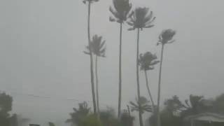 Wé Lifou  Les dégâts après le passage cyclone Donna [upl. by Htinek]