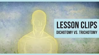 Lesson Clips Dichotomy vs Trichotomy [upl. by Ardnola]