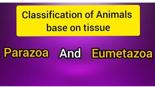 Criteria For Animals Classification Parazoa and Eumetazoa [upl. by Halland]