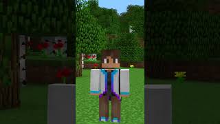 Minecrafts Best Player Model Mod [upl. by Querida]