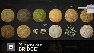 Megascans Bridge Tutorial [upl. by Savdeep]