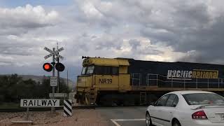 Horrocks Pass Rd Railway Crossing Winninowie [upl. by Searcy]