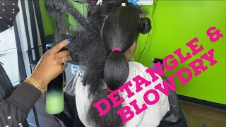 How to Detangle amp Blowdry THIQUE hair 💚💚 [upl. by Danzig]