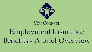 Employment Insurance Benefits  A Brief Overview [upl. by Rennane]