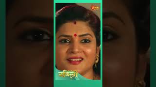 Nandini shorts ytshorts SunbanglaSerial trending [upl. by Sdlonyer253]