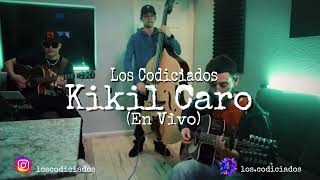 Los Codiciados  Kikil Caro En Vivo 2024 [upl. by Ailegave36]