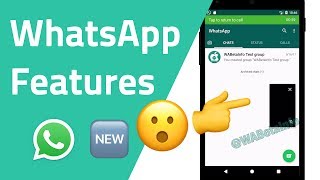 12 neue WhatsApp Features [upl. by Cote159]