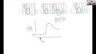 Calculating a peri stimulus time histogram PSTH [upl. by Anayd]