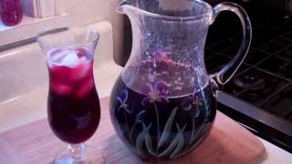 How To Make A Spiced Sorrel Drink From The Caribbean [upl. by Kingsbury]