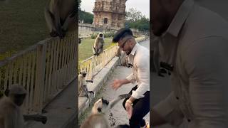 🐒🐒🐒 😂 isne to dara hi diya 😂pawansahu fitnessmotivation motivation funny [upl. by Stephanus]