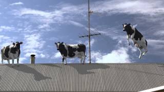 Liddells Lactose Free Television Commercial 15 seconds [upl. by Doscher]