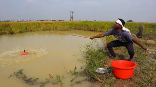 Fishing Video  Traditional boys prefer to admit fishing in small canals  Best hook fishing [upl. by Ubald894]