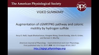 Augmentation of cGMPPKG pathway and colonic motility by hydrogen sulfide – Nalli et al 2017 [upl. by Scriven]