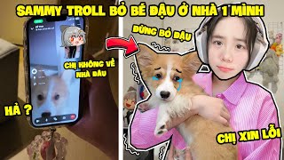 SAMMY TROLL BỎ BÉ ĐẬU Ở NHÀ 1 MÌNH VÀ CÁI KẾT SIÊU ĐAU LÒNG [upl. by Eimat]