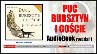 PUC BURSZTYN i GOŚCIE Audiobook MP3 🎧 rozdział 1  posłuchaj i pobierz całość [upl. by Moitoso]