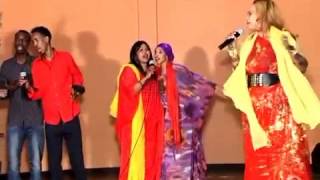 Fartun birimo somaliyey ma nabad baa 2013 HD [upl. by Slotnick]