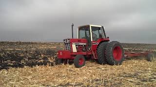 1977 IH 1086 PLOWING [upl. by Cowles]