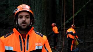 Vallombrosa Intervista a Matteo Cortigiani Arboricoltore  tree climber [upl. by Colleen]