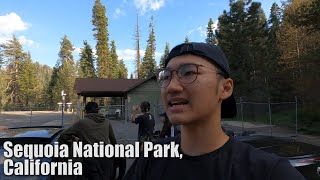 Vlog Terakhir Di Amerika 😭  Ngemper Abroad FINAL [upl. by Tesil]