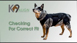 K9 Align HipLign  Correct Fit [upl. by Nilra]