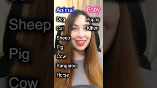 Animal and Baby Animal Names in English shorts english [upl. by Yra566]