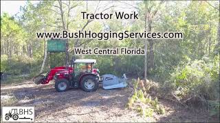 Land Clearing Florida Scrub Oaks [upl. by Jackie]