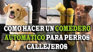 ¿Como hacer un DISPENSADOR de COMIDA para perros callejeros  Cheke 97 [upl. by Sisile235]