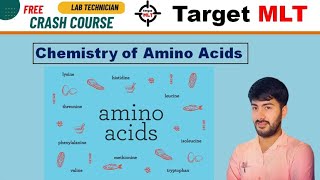 8 Amino Acids biochemistry by Sachin Punia  DSSSB  RRB  PGIMER  Aiims JSSC Osssc 2024 mlt [upl. by Sou]