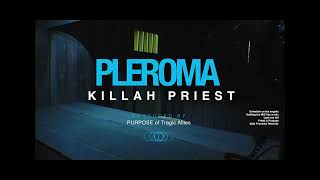 Killah Priest  Pleroma Official Music Video [upl. by Lillis]