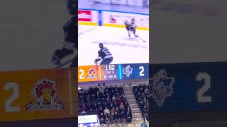 QMJHL  20241103  SHA GOAL  SHA 3 VS Rimouski 2 shorts qmjhl lhjmq oceanic [upl. by Econah642]