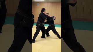 Ninjutsu Bujinkan martial arts training in Japan budo dojo ninja samurai [upl. by Aneleasor]