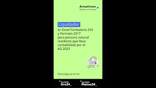 🚨Formulario 210 y Formato 2517 para persona natural residente que lleva contabilidad por el AG 2023 [upl. by Ahsenet]